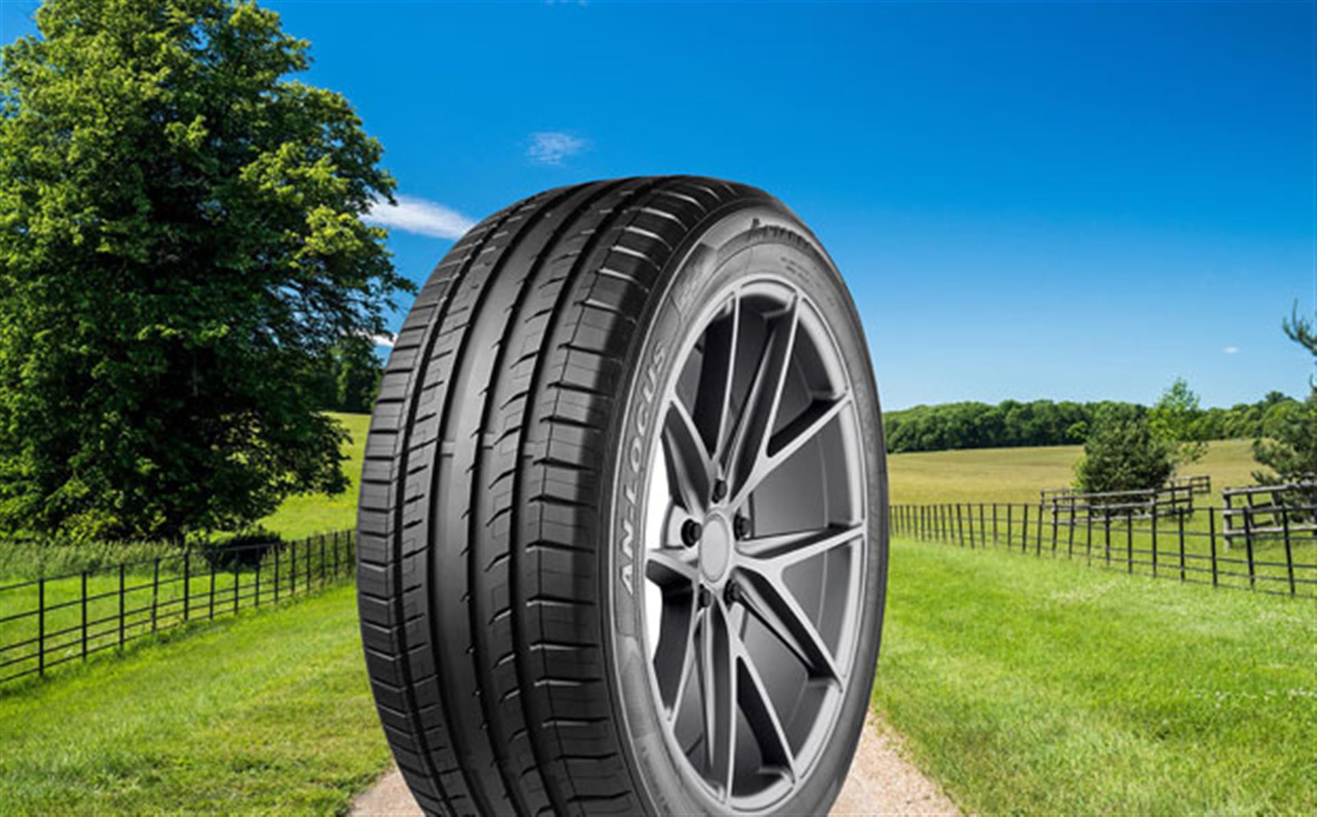 Antares Run Flat Tires